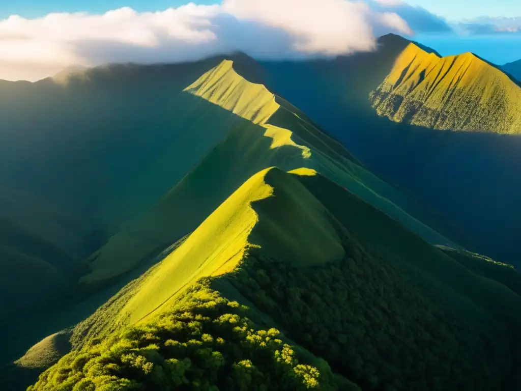 Conquistar Cerro Pan de Azúcar: Majestuosa vista aérea de picos escarpados bañados en luz dorada, sombras dramáticas y senderos con excursionistas