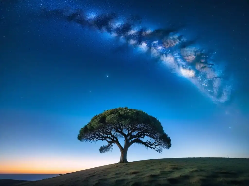 Escena inspiradora de observación de estrellas en un campo de Uruguay con cielo estrellado y árbol solitario al frente