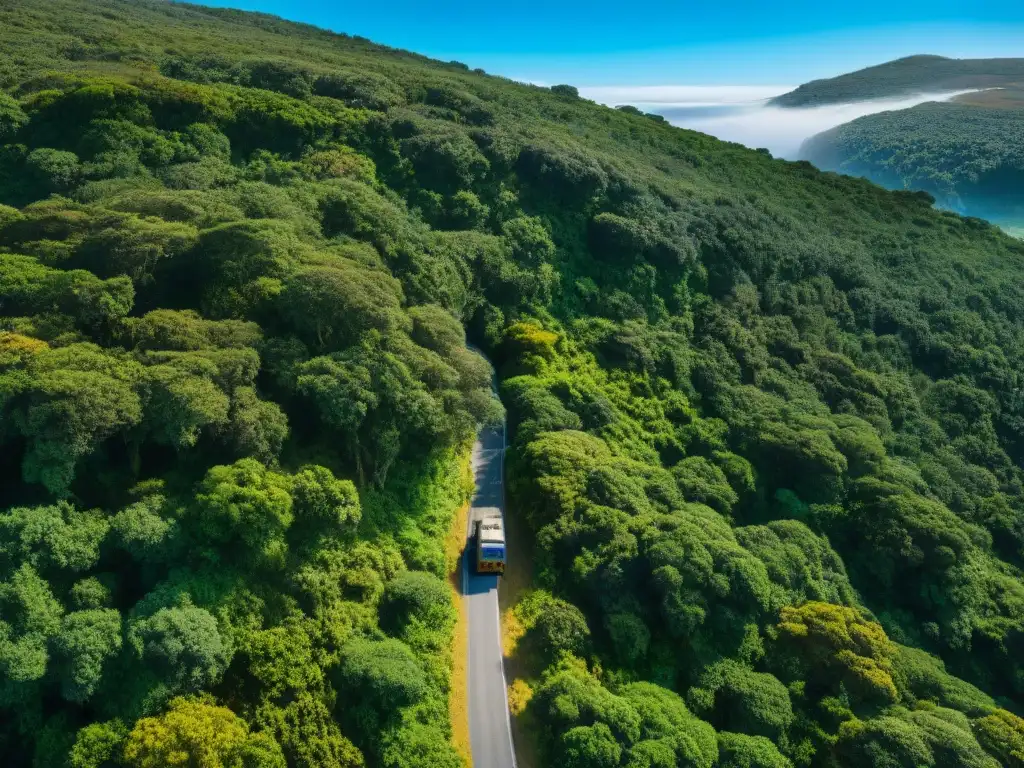 Un grupo de fotógrafos aventureros explorando la exuberante naturaleza de Uruguay